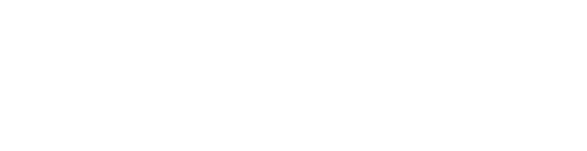 logo light